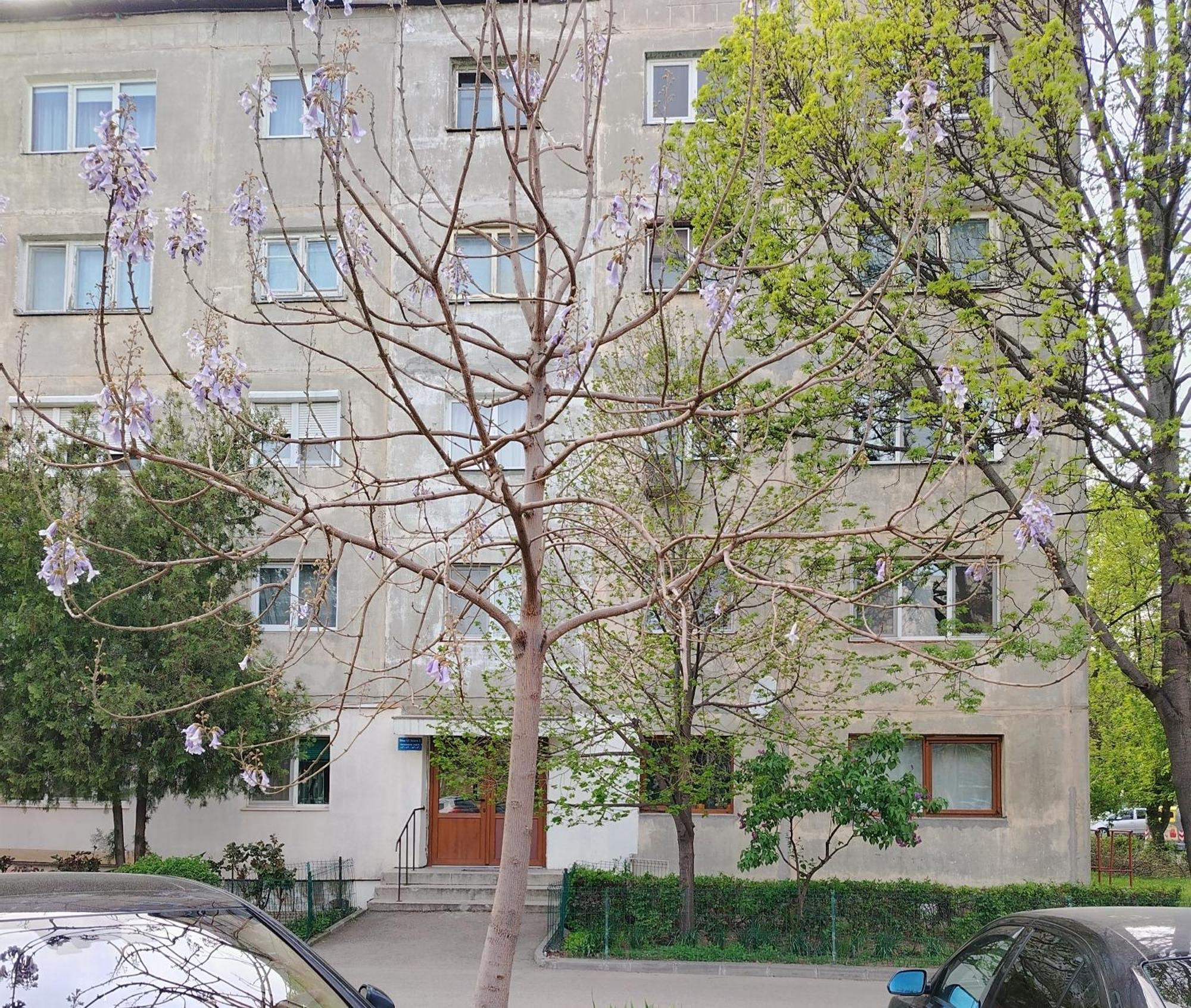 Arka Apartment Craiova Luaran gambar